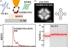 한·일 공동연구팀, 단일 분자 양자상태 실시간 관측·제어 기술 개발