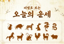 8월 11일, 너무 욕심 부리면 역효과 나는 띠는?[오늘의 운세]
