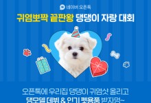 10일부터 2주간 네이버 오픈톡서 반려견 사진 자랑 대회