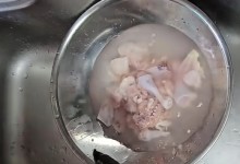 "물로만 씻으면 안되나요?"…'생닭 세척한 물'에 '이것' 득시글