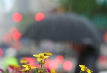 연휴 마지막 날, 전국 흐리고 가끔 비…낮 최고 21도[내일날씨]
