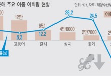 25.8도까지 오른 동해…오징어 ‘대탈출’