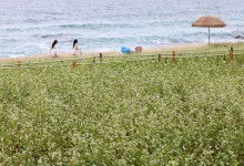 ‘처서’에도 무더위…전국 대체로 흐리고 비