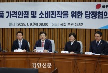 당정 “설 전 배추·무·사과 공급 1.5배 확대···KTX·SRT 역귀성 할인 30~40%”