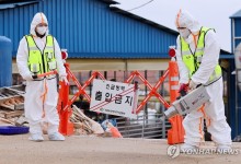 전남 영암 한우농가서 또 구제역···국내 발생농가 10곳으로 늘어