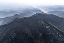 [속보]경찰, ‘의성 산불’ 실화 혐의 50대 입건···곧 대면 조사