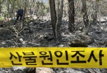 대구 북구 산불 현장서 산림당국·경찰 등 합동감식···최초 발화지 특정 조사