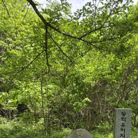 항쟁의 한복판에서 안식처 제공한 사찰... 두 스님의 간절한 호소