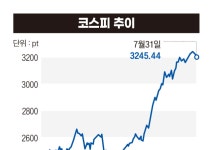 “시장은 협상 타결 알고 있었다” 다음 고비는 정부의 세제개편 [관세협상 타결됐지만④]