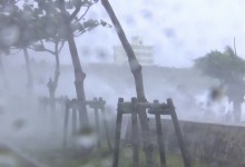 열대야 심한 올여름, 말복 이후 계속...5호 태풍, 韓 영향 없어[날씨]