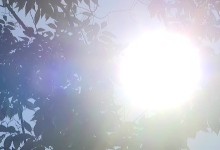 서울 역대 두 번째로 긴 열대야..."광복절 연휴도 덥다"[날씨]