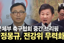 문화체육관광부, 축구협회 중간 브리핑 "권한 없는 정몽규 회장, 전력강화위원회 무력화해"