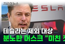 "이건 미친 짓" 머스크 격분...캘리포니아주 결정에 테슬라 주가 하락 [지금이뉴스]