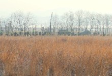 무안공항·제주항공 압수수색...책임·원인 규명 본격화