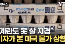 계란도 못사는 미국 물가에...파월 조이는 트럼프[자막뉴스]