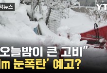 오후부터 강한 비 온다...'1m 눈폭탄' 예고도[자막뉴스]