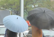 제주 호우특보, 전국 요란한 비...제주 최대 120mm↑[날씨]