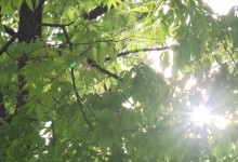 벌써 열대야?...서울 23℃, 역대 가장 더운 5월 아침[날씨]