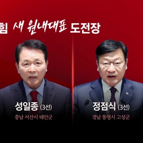국민의힘 새 '원내 사령탑'은?...장동혁·한동훈 쟁점