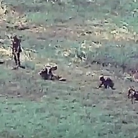 북, DMZ 지뢰 대량 매설..."최근 2년간 100만 발 육박"