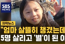 "엄마 살뜰히 챙겼는데"…5명 살리고 '별'이 된 아이[자막뉴스]