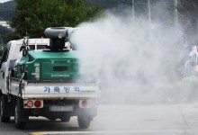 강원 인제 · 충남 당진 한우농장서 럼피스킨 발생