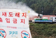 강원 동해 산란계 농장서 AI 항원 확인…올가을 가금농장 첫 사례