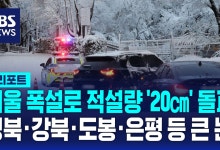 서울 폭설로 적설량 '20㎝' 돌파…성북·강북·도봉·은평 등 큰 눈[AI D리포트]