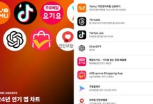 올해 애플 앱스토어에서 가장 많이 다운로드된 앱은 '테무'