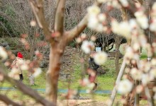 아침 곳곳 -10도 안팎…바람 불어 더 '쌀쌀'