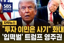 "투자이민은 사기"…분통 터뜨리던 트럼프, 입이 떡 벌어지는 영주권 가격 공개하자[자막뉴스]