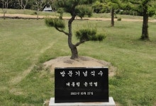 '윤석열 기념식수 비석' 사라졌다…세계유산서 무슨 일