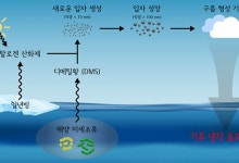 극지연구소 "북극에 온난화 늦추는 자연 복원력 확인"