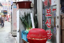 개식용종식법 1년…사육 농장 10곳 중 7곳 폐업