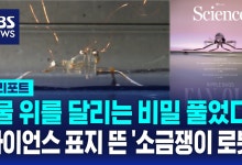 "물 위를 뛰어다녀" 소금쟁이 로봇 개발 성공[D리포트]