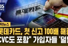 "롯데카드 해킹 예상보다 100배 넘는다…CVC도 유출"