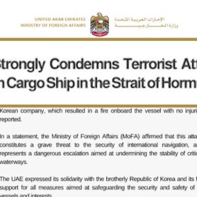 UAE "나무호, 테러 드론에 피격"…성명 발표