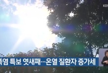 부산 폭염 특보 엿새째…온열 질환자 증가세