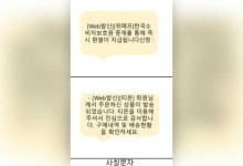 ‘티메프 환불’ 내세운 사기도 등장…금감원 “환불 문자 믿지 마세요”