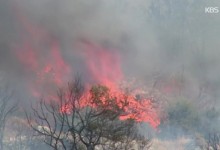 아테네 턱밑까지 치달은 산불…그리스, 긴급지원 호소