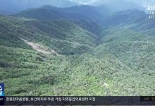 지리산 케이블카, 사업비·경제성 우려