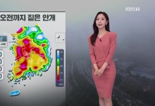 오전에 내륙 곳곳 짙은 안개…동해안·제주 비[출근길 날씨]