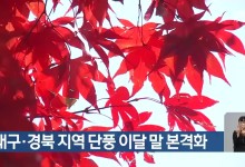 대구·경북 지역 단풍 이달 말 본격화