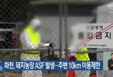 화천, 돼지농장 ASF 발생…주변 10km 이동제한