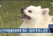울산 반려동물관광축제 개최…100여개 부스 운영