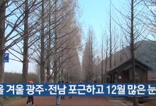 올 겨울 광주·전남 포근하고 12월 많은 눈
