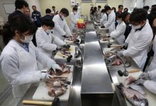 후쿠시마 14년 지났지만…동일본산 야생 버섯 28% 세슘 기준초과