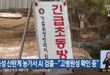 음성 산란계 농가서 AI 검출…“고병원성 확인 중”