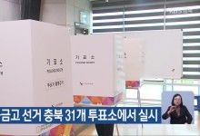 새마을금고 선거 충북 31개 투표소에서 실시