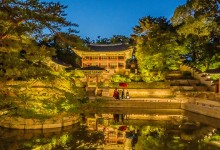 국가유산청, 경복궁 별빛야행·창덕궁 달빛기행 개최